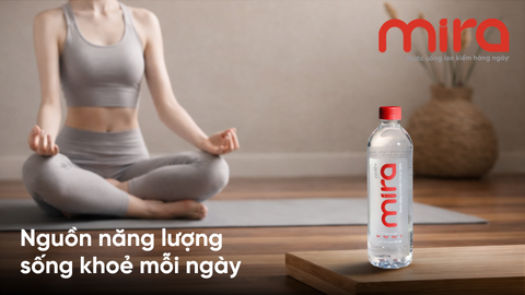 Tháp Dinh Dưỡng 2026:  9 Nguyên Tắc Vàng Cho Sức Khỏe Bền Vững Và Vai Trò Của Nước Uống Ion Kiềm trong hành trình chăm sóc sức khỏe chủ động