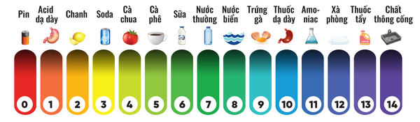 Thang đo độ pH