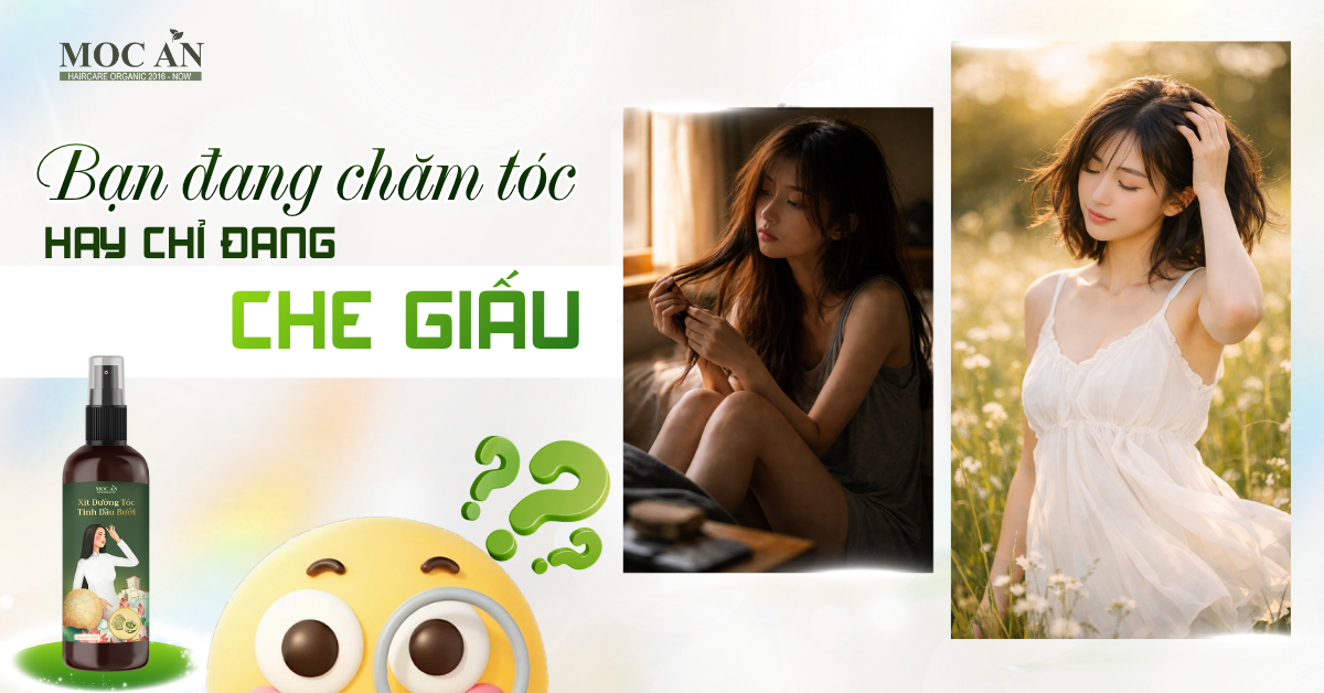 BẠN ĐANG CHĂM TÓC… HAY ĐANG CHE GIẤU VẤN ĐỀ CỦA TÓC?
