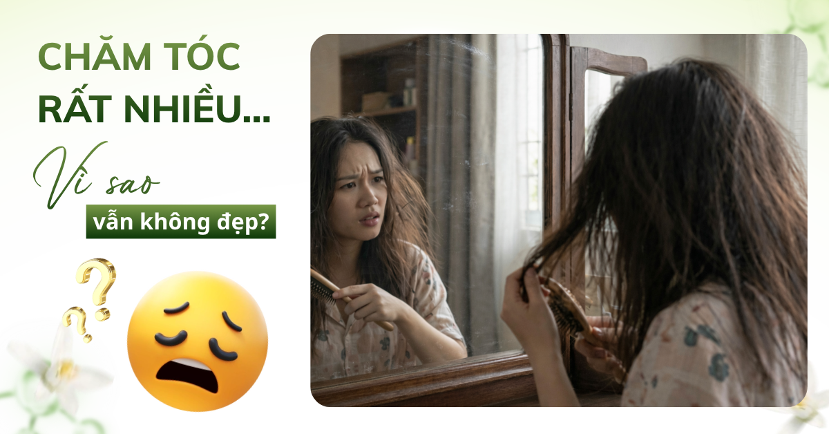 VÌ SAO BẠN CHĂM TÓC RẤT NHIỀU NHƯNG TÓC VẪN KHÔNG ĐẸP?