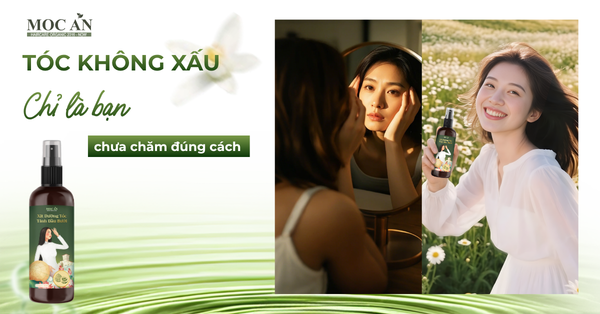 TÓC KHÔNG XẤU - CHỈ LÀ BẠN CHƯA CHĂM ĐÚNG CÁCH