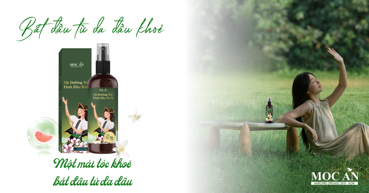 MỘT MÁI TÓC DỄ CHỊU BẮT ĐẦU TỪ DA ĐẦU KHỎE