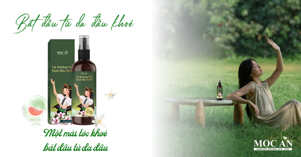 MỘT MÁI TÓC DỄ CHỊU BẮT ĐẦU TỪ DA ĐẦU KHỎE