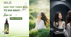 MÁI TÓC THAY ĐỔI TỪ KHI NÀO BẠN KHÔNG NHẬN RA?