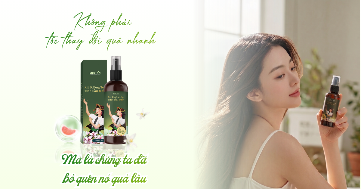 KHÔNG PHẢI TÓC THAY ĐỔI QUÁ NHANH - MÀ LÀ CHÚNG TA ĐÃ BỎ QUÊN NÓ QUÁ LÂU