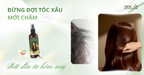 ĐỪNG ĐỢI TÓC XẤU MỚI BẮT ĐẦU CHĂM