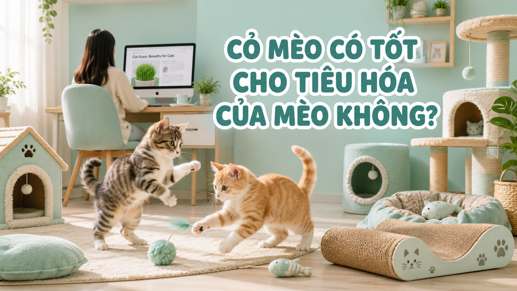 CỎ MÈO LÀ GÌ? CÓ THẬT SỰ TỐT CHO TIÊU HÓA?