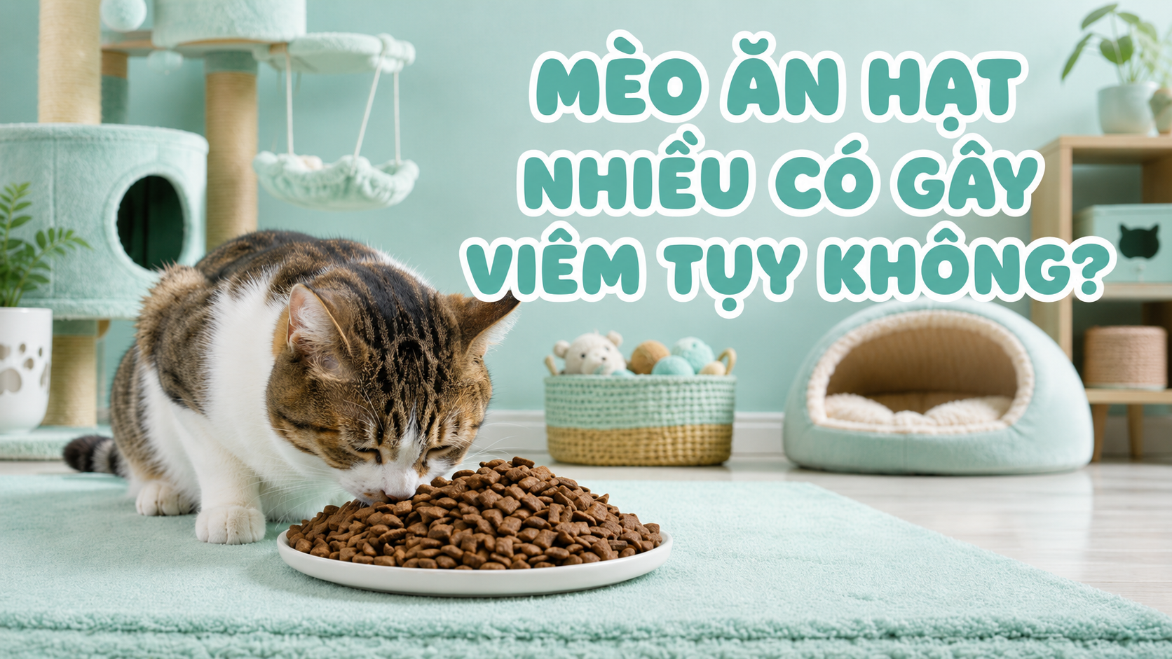 MÈO ĂN HẠT NHIỀU CÓ GÂY VIÊM TỤY KHÔNG?