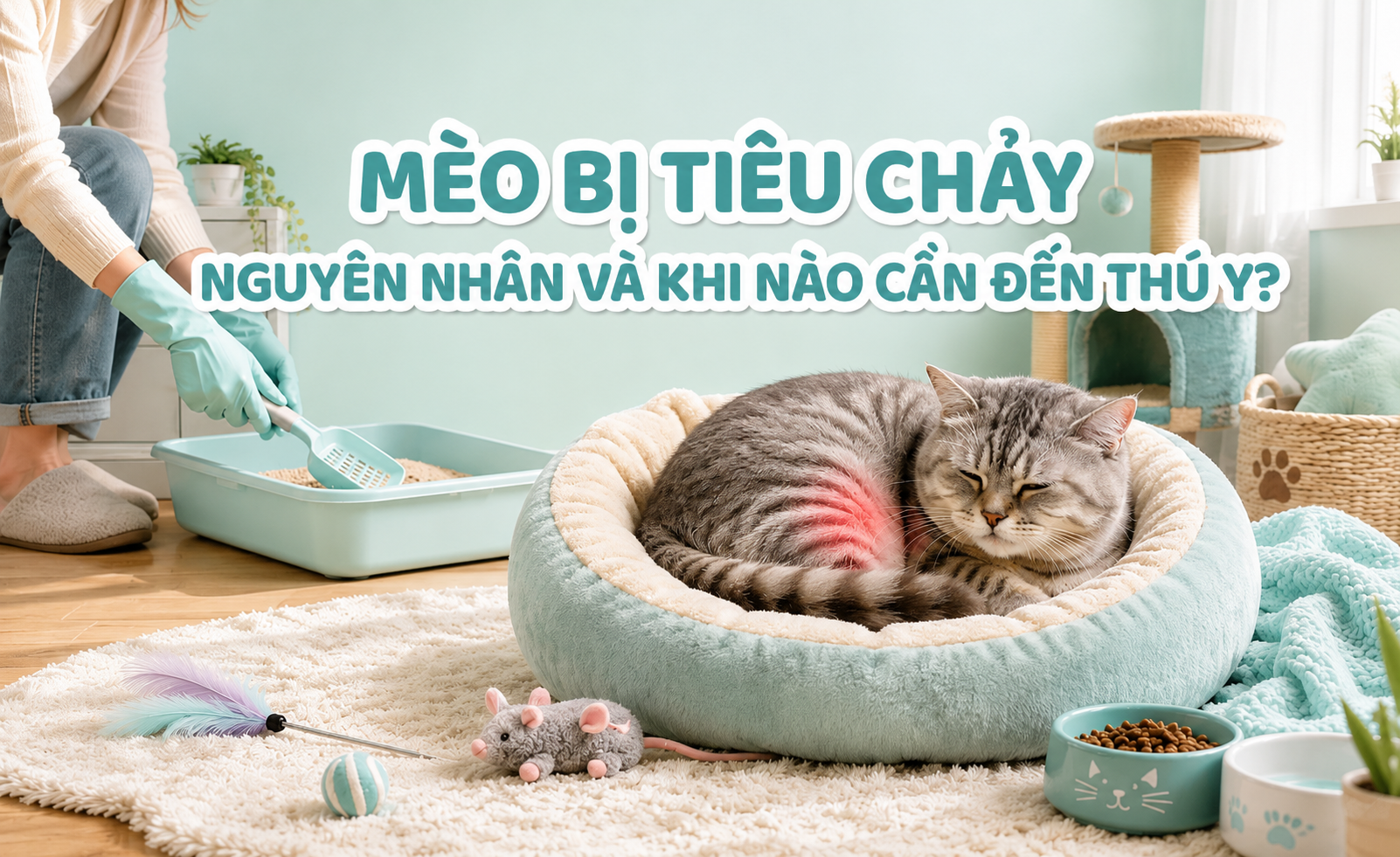 MÈO BỊ TIÊU CHẢY: NGUYÊN NHÂN VÀ KHI NÀO CẦN ĐẾN THÚ Y?