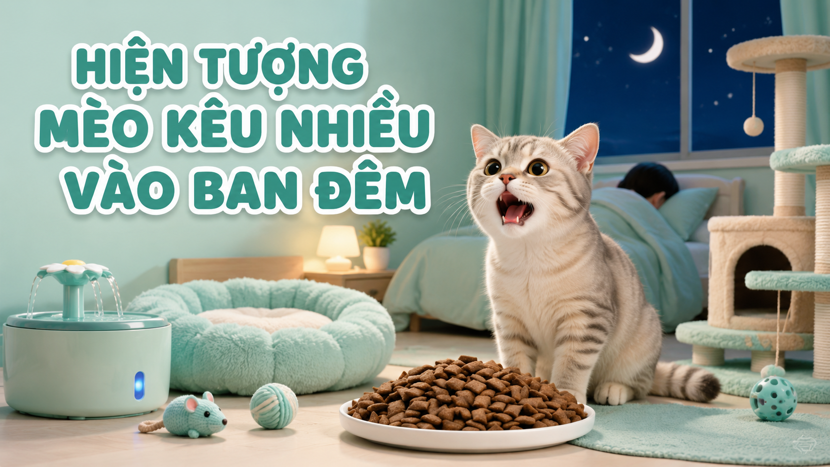 HIỆN TƯỢNG KÊU NHIỀU Ở MÈO VÀO BAN ĐÊM NGUYÊN NHÂN VÀ CÁCH XỬ LÝ
