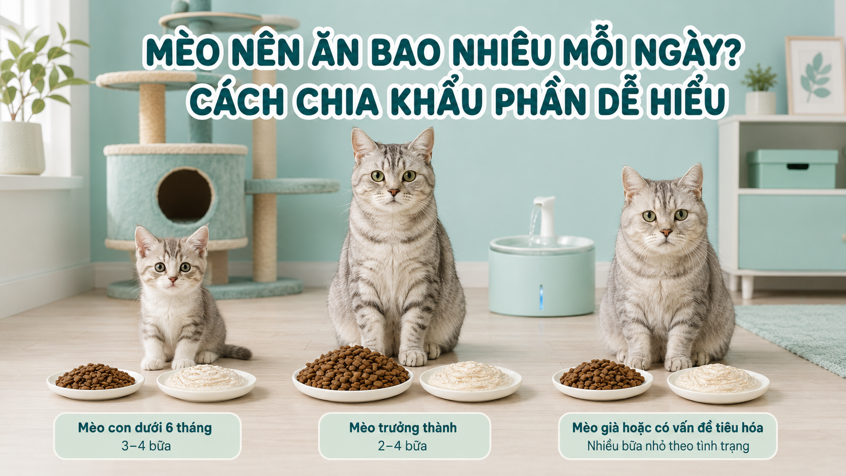 MÈO NÊN ĂN BAO NHIÊU MỖI NGÀY? CÁCH TÍNH KHẨU PHẦN ĂN ĐƠN GIẢN