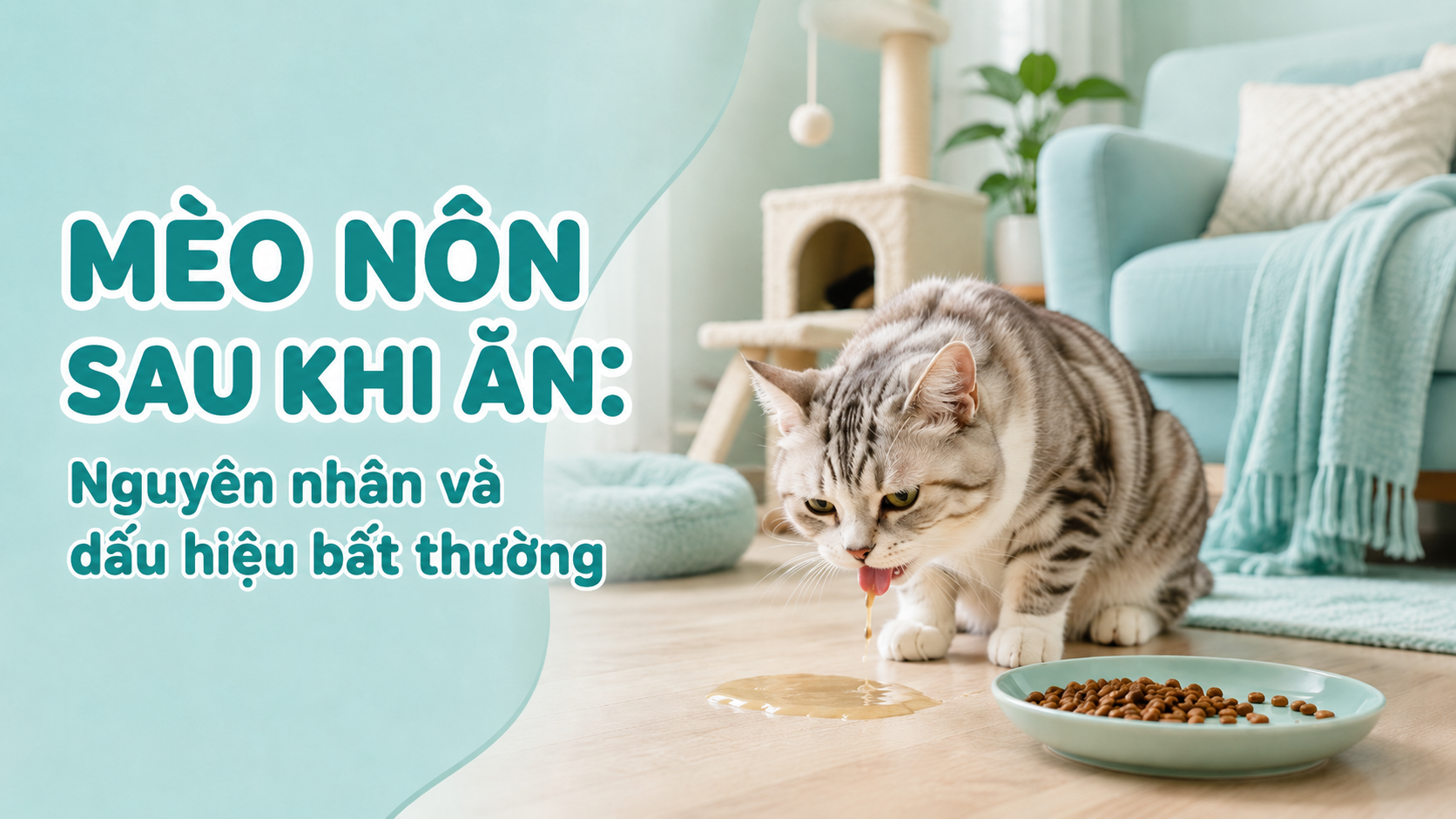 MÈO NÔN SAU KHI ĂN: NGUYÊN NHÂN VÀ DẤU HIỆU NGUY HIỂM