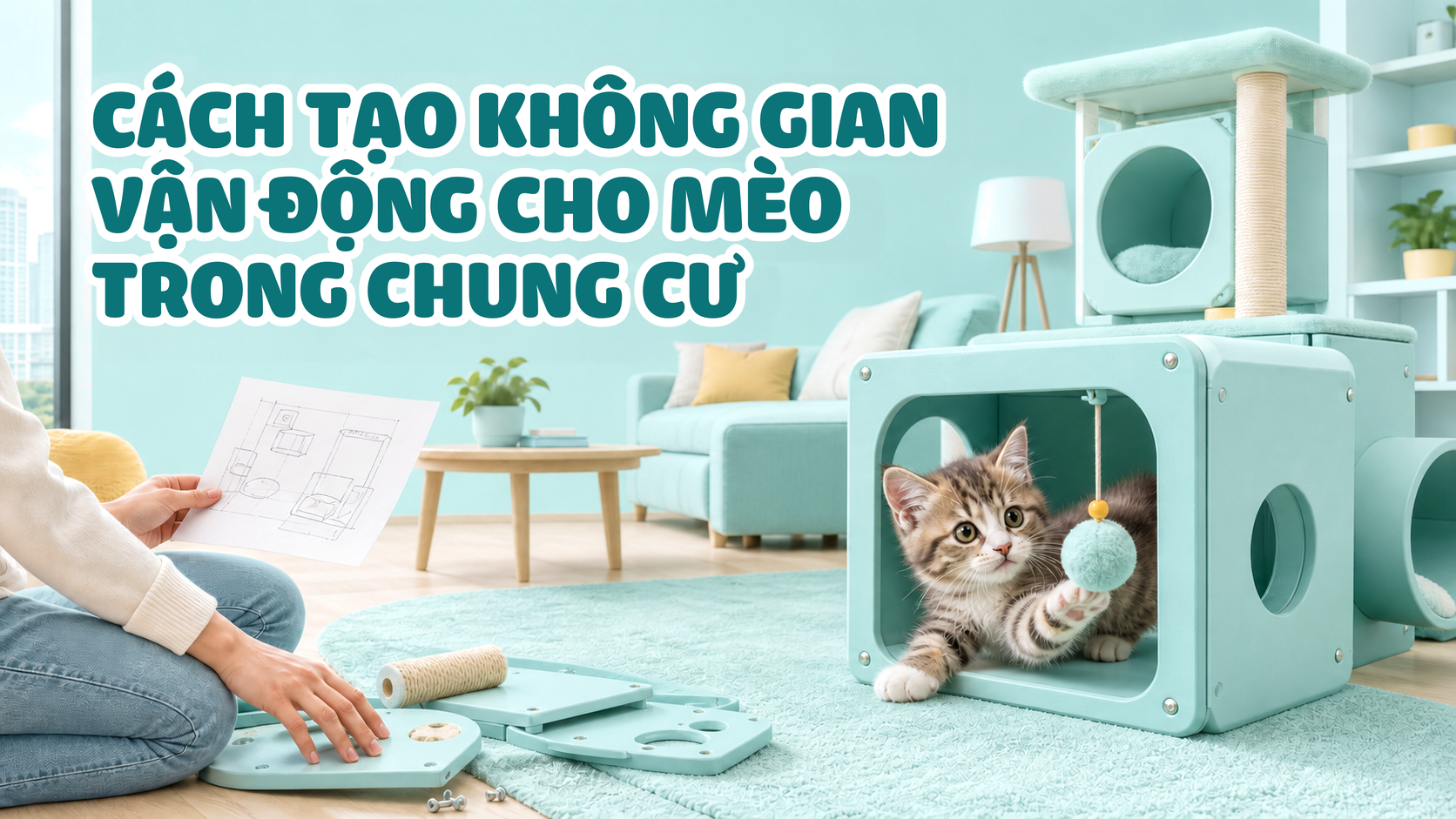 NUÔI MÈO TRONG CHUNG CƯ, CÁCH TẠO KHÔNG GIAN VẬN ĐỘNG CHO MÈO