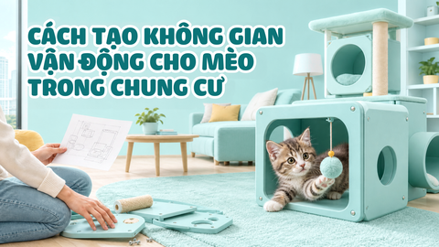 NUÔI MÈO TRONG CHUNG CƯ, CÁCH TẠO KHÔNG GIAN VẬN ĐỘNG CHO MÈO