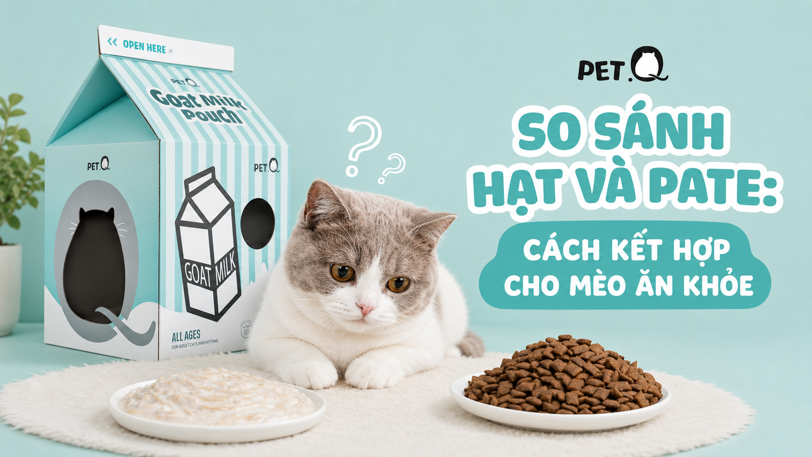 SO SÁNH HẠT VÀ PATE: CÁCH KẾT HỢP CHO MÈO ĂN KHỎE