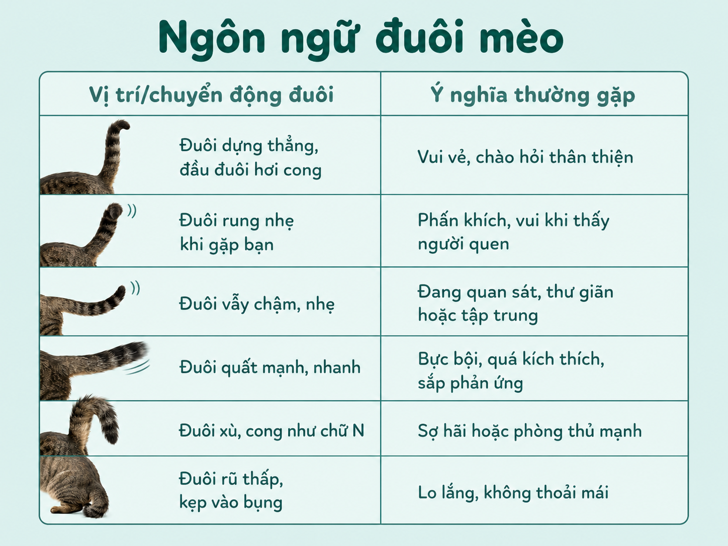 Ngôn ngữ đuôi mèo