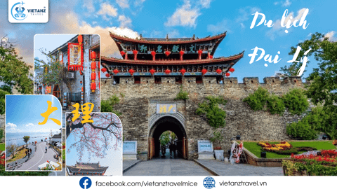 Đại Lý: Hành Trình Tìm Về 