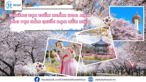 TOP NHỮNG ĐIỂM ĐẾN NGẮM HOA ANH ĐÀO TẠI HÀN QUỐC BẠN NÊN BIẾT