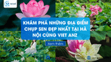 Top những điểm chụp ảnh hoa sen đẹp 