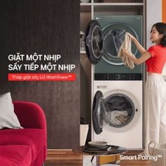 Máy giặt tháp LG cao cấp vì sao? Lựa chọn tuyệt hảo cho không gian đẳng cấp của gia đình