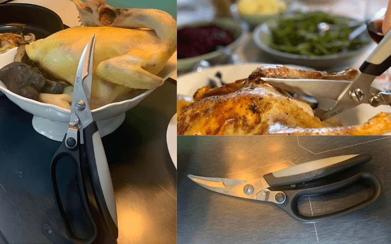 Kéo cắt gà SILIT Pollo nội địa Đức