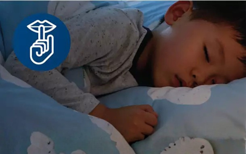 Máy lọc không khí PHILIPS AC0650/10