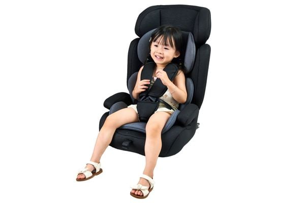 Thiết kế theo đường cong sinh lý - Ngồi lâu vẫn thoải mái