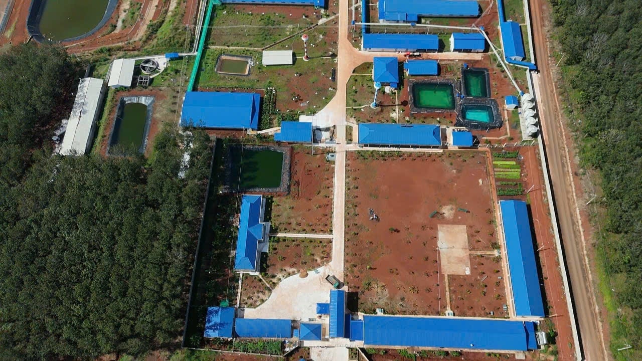 Giải Pháp Điện Mặt Trời Cho Khu Công Nghiệp: Bài Toán Kinh Tế Và Cú Hích Phát Triển Bền Vững