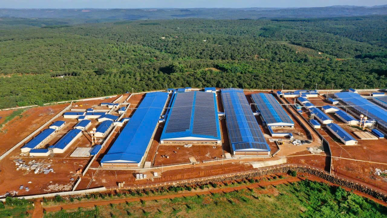 Dự án điện mặt trời trang trại chăn nuôi Bình Phước (3.5 MWp)