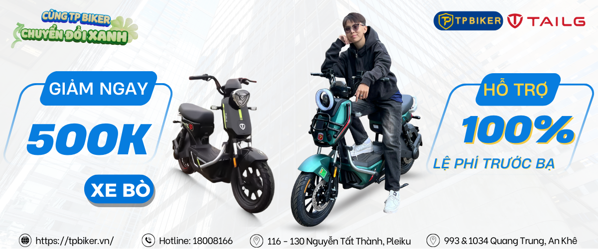 XE ĐIỆN TAILG