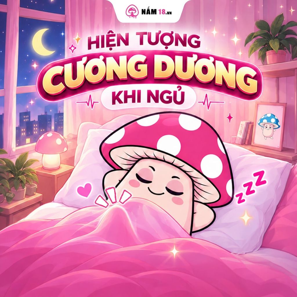 Giải Mã 