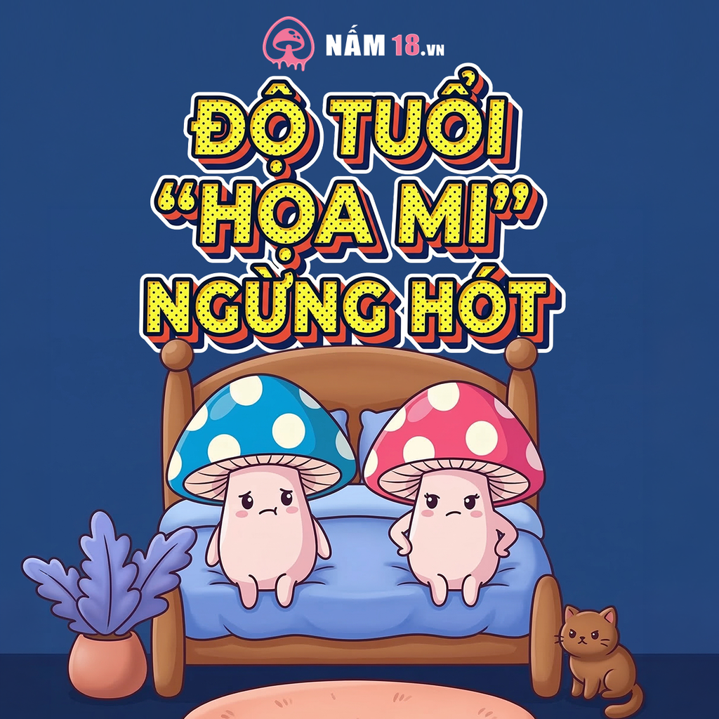Kích Thước 