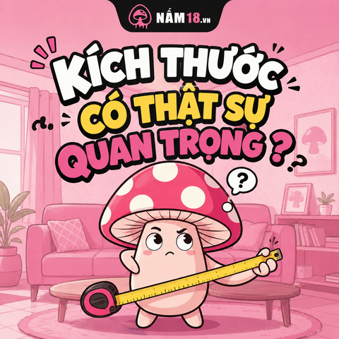 Kích Thước 