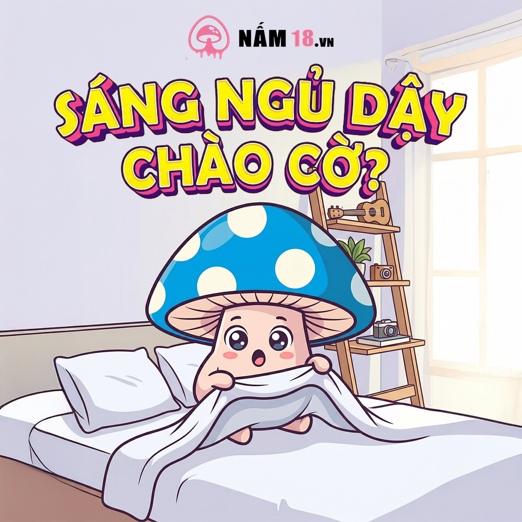 Sáng Ngủ Dậy 