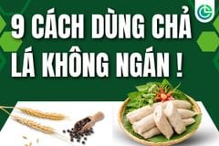 Chả Huế Ăn Với Gì Ngon — 9 Cách Dùng Chả Lá (Giò 7 Phút) Cho Cả Tuần Không Ngán