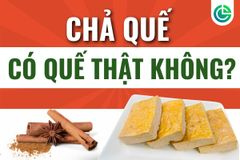 Chả Quế Nướng Có Quế Thật Không — Màu Vàng Nâu Trên Mặt Lò Đến Từ Đâu