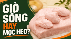 Giò Sống Và Mọc Heo Có Khác Nhau Không? Cách Chọn Đúng Cho Từng Món