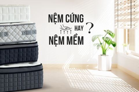 Nệm cứng hay mềm? Đâu là lựa chọn phù hợp cho giấc ngủ của bạn?