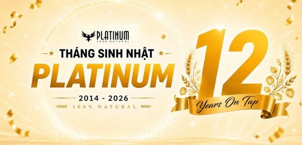 KỲ 4: VỮNG BƯỚC TƯƠNG LAI – 12 NĂM TIẾP THEO VÀ ẨN SỐ MANG TÍNH ĐỘT PHÁ