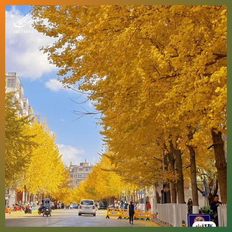 Cẩm nang chuẩn bị hành lý đi Trung Quốc mùa thu: Gọn nhẹ mà vẫn đủ đầy