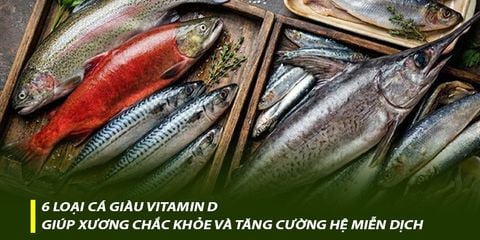 6 loại cá giàu vitamin D giúp xương chắc khỏe và tăng cường miễn dịch