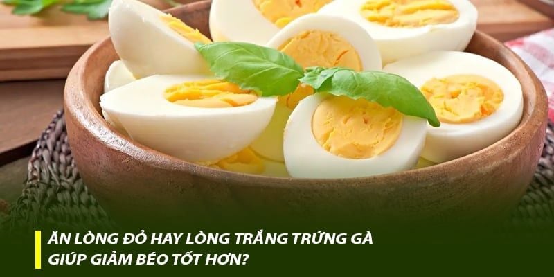 Ăn lòng đỏ hay lòng trắng trứng gà giúp giảm béo tốt hơn?