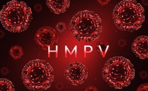 Virus gây viêm phổi (HMPV) –  Bác sĩ khuyến cáo chủ động phòng ngừa, đừng quá hoang mang