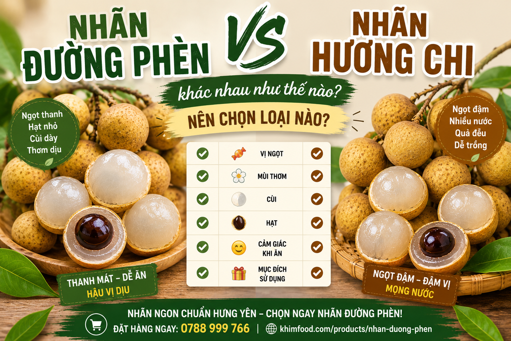 Nhãn đường phèn và nhãn Hương Chi khác nhau như thế nào? Nên chọn loại nào?