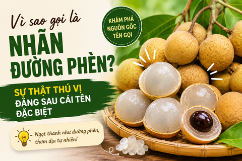 Vì sao gọi là nhãn đường phèn? Sự thật thú vị đằng sau cái tên đặc biệt