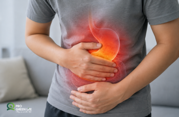 Viêm Dạ Dày Tự Miễn: Khi Cơ Thể Tự Tấn Công Chính Dạ Dày Của Mình