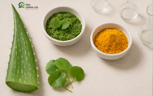 Khủng Hoảng Hàng Rào Da: Hậu Quả Của Lạm Dụng Mỹ Phẩm Và Trào Lưu Skincare Hiện Đại