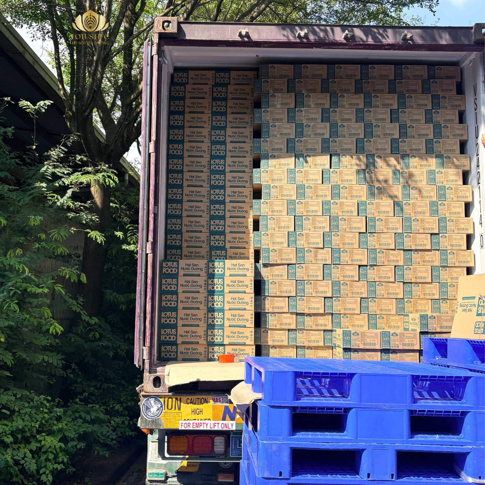 LOTUS HFC XUẤT CONTAINER ĐẦU NĂM, SẴN SÀNG NGUỒN CUNG NGUYÊN LIỆU PHA CHẾ MÙA CAO ĐIỂM