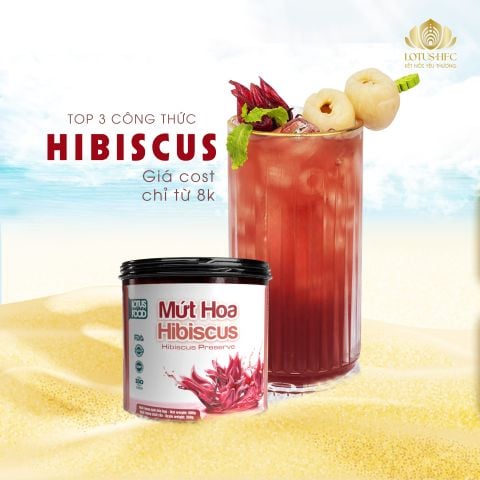 KHÁM PHÁ BÍ QUYẾT PHA HIBISCUS - CHI PHÍ THẤP, LỢI NHUẬN CAO