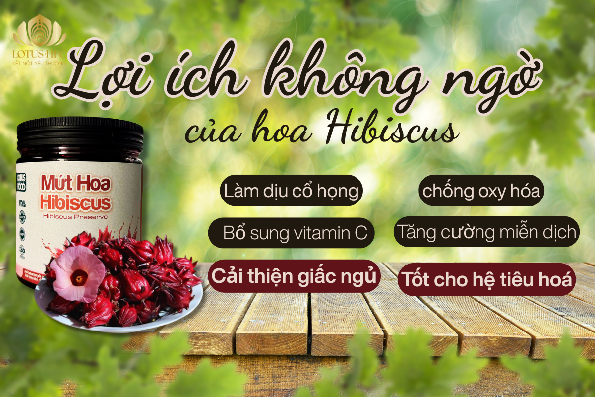 CÔNG DỤNG CỦA HIBISCUS – BÍ QUYẾT CHO LY NƯỚC NGON VÀ SỨC KHỎE MỖI NGÀY